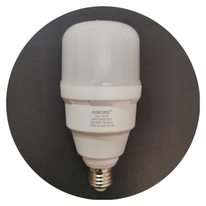 Picture for category LED A BULB