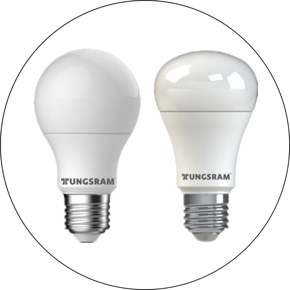 Picture for category LED Eco Snowcone